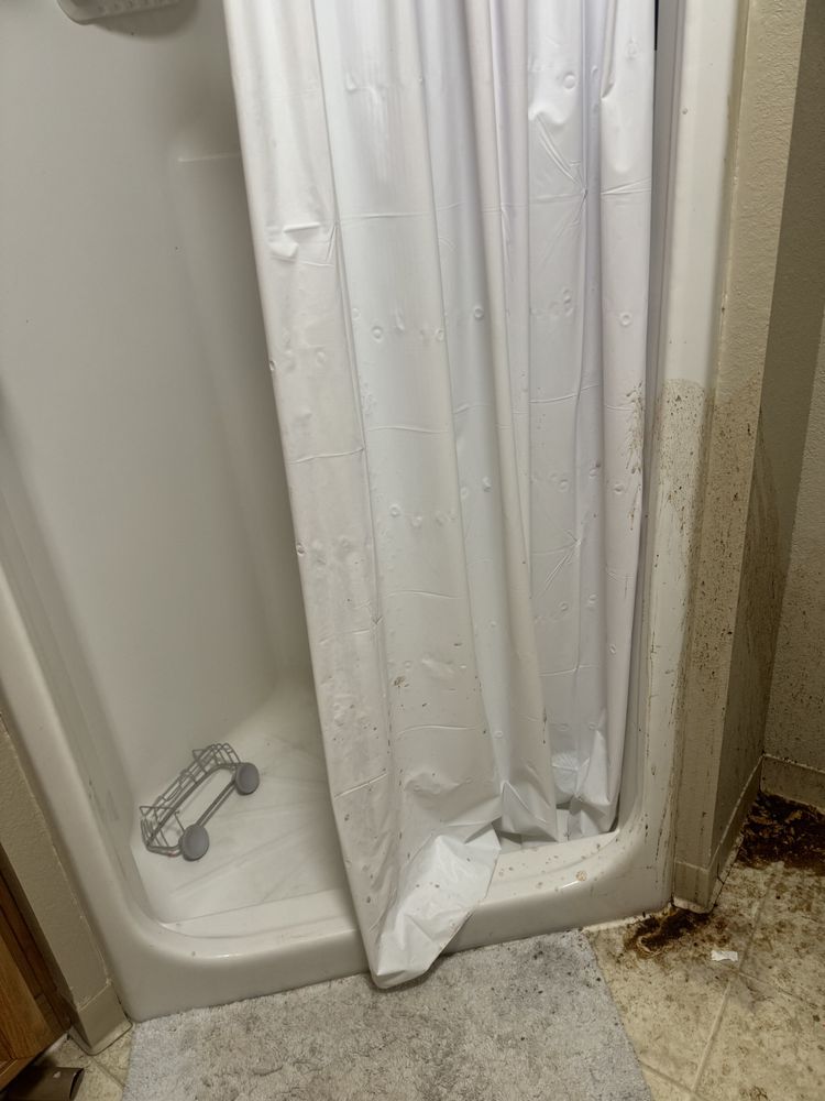 Before and after - before